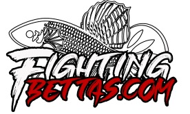 Sakai “GHOST” Fighter SG4#6 Thai Bloodline Betta Plakat