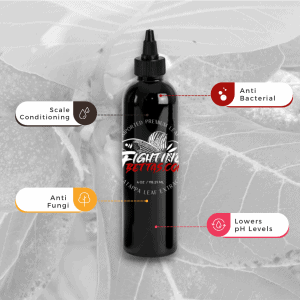 Indian Almond Leaf – Premium Extract Catappa Leaves