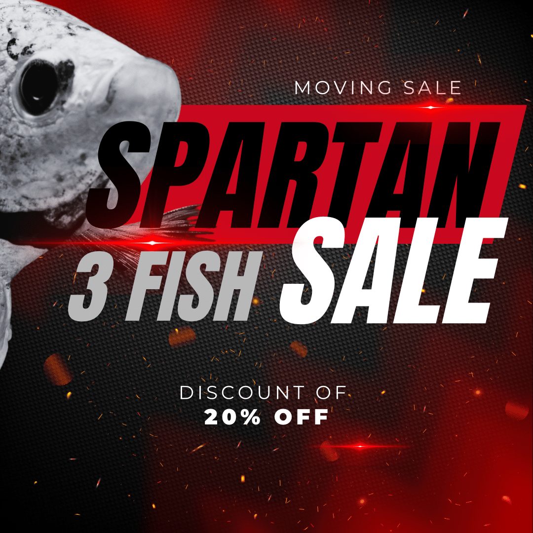 3 Spartan Series Ultimate Fighter Bundle Thai Bloodline Betta Plakat