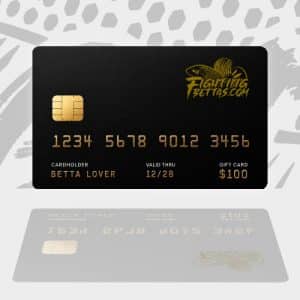 gift-card