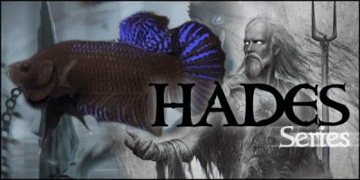 7C698E31-2E93-4A66-AB2D-A4AC69190D46