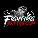 FightingBettas.com